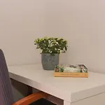 Casa Zorana-alba Appartement *