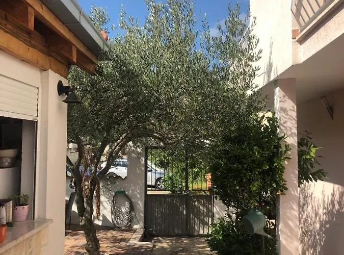 Casa Zorana-alba 公寓