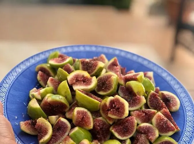 公寓 Casa Zorana-alba *